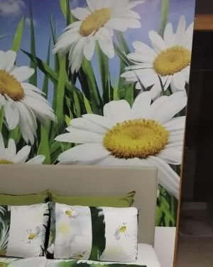 Nela apartman Niš Niš