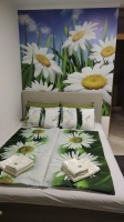 Nela apartman Niš