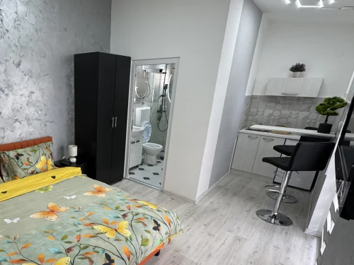 Mitic Apartmans1 Niš