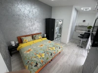 Mitic Apartmans1
