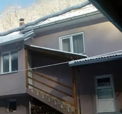 Vila Mika Stara planina