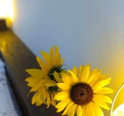 Apartman Perušić Subotica