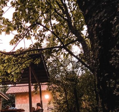 Stubicki Vis Lazarevac