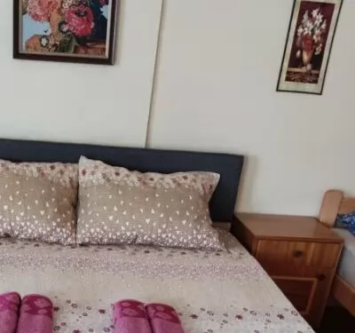 Apartman Fenix Niš
