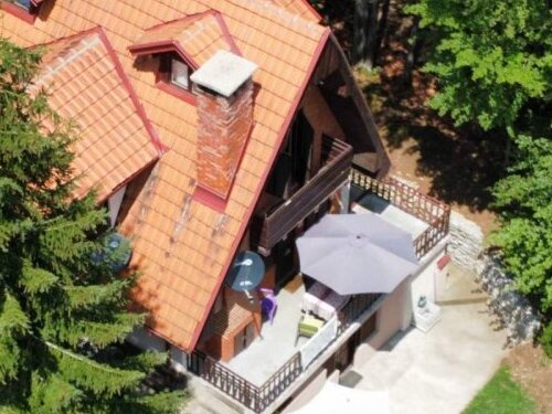 Apartmani Damjan Vlasinsko jezero