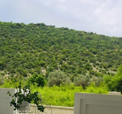 Apartmani Milasevic Čanj