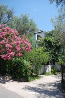 Apartmani Vujosevic