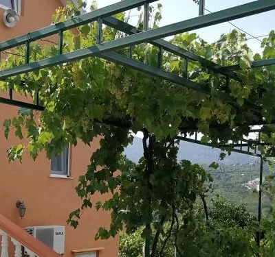 Zaja Apartment Igalo