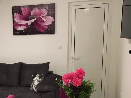 Apartmani Agi Budva
