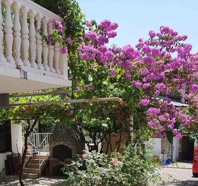 Apartmani Verica Petrovac